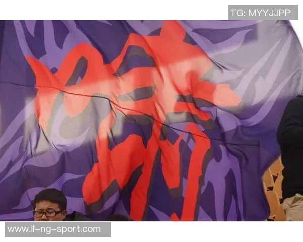 运动商城足球门全面升级助力球迷尽享精彩比赛体验